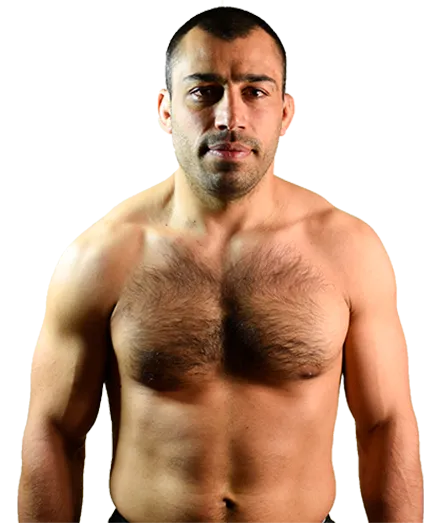 Владимир Егоян