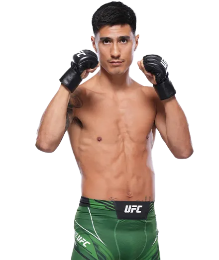 Луис Салдана