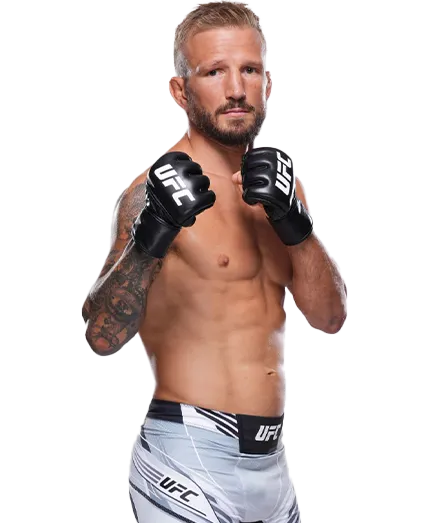 ТиДжей Диллашоу