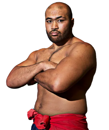 Карл Сеуманутафа