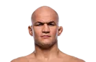 Junior Dos Santos
