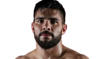 Эвертон Поланкуини