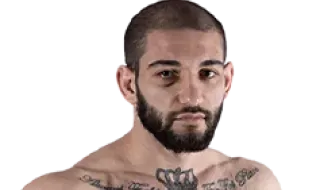 Бидзина Гавашелишвили