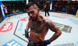 UFC Fight Night 267: Эрнандес против Стрикленда — потенциальный пропуск к Чимаеву