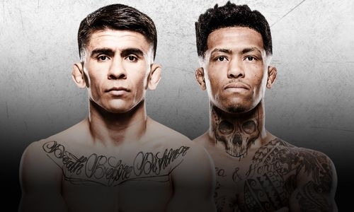 Где смотреть UFC Vegas 113 (8 февраля 2026 года)