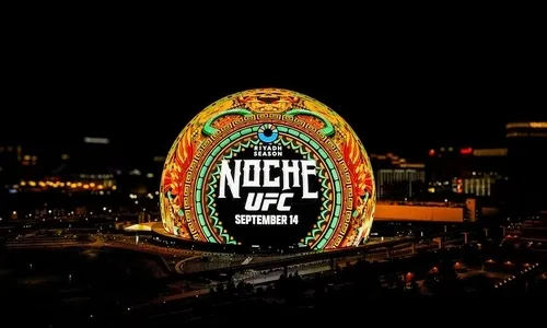 Сколько стоит посмотреть UFC 306 вживую на арене
