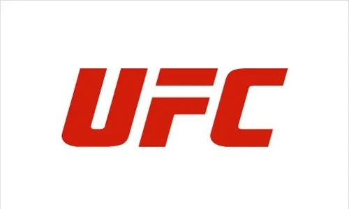 UFC 31 августа и 1 сентября 2024
