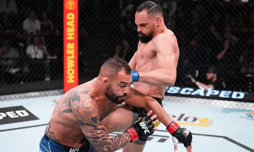 UFC Vegas 55: Результаты прогнозов подписчиков